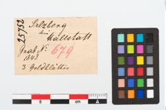 Etikett zu Goldfragment (NHMW-PRAE-025752)